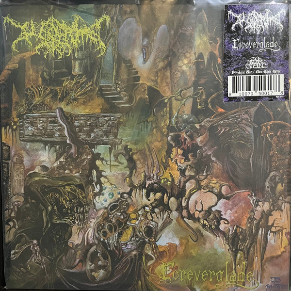 Worm (23) : Foreverglade (LP, Album, RP, Aqu)