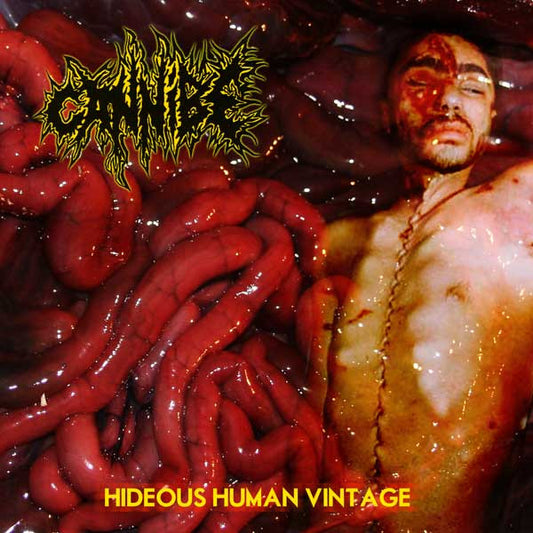 Cannibe : Hideous Human Vintage (CD, Album)