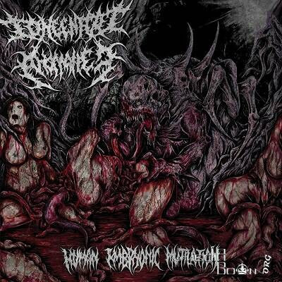 Congenital Anomalies : Human Embryonic Mutilation (CD, Album)