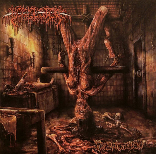 Bowel Stew : Debridement (CD, Album)