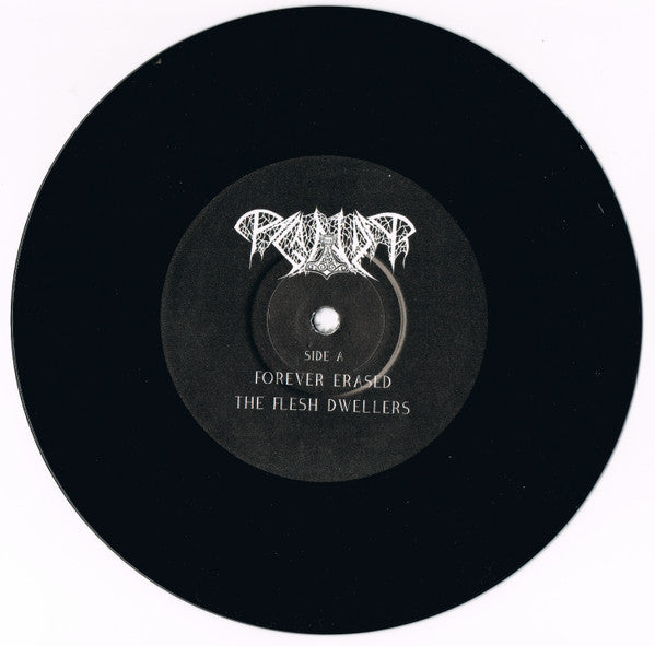 Paganizer : The Portal  (7", EP, Ltd)